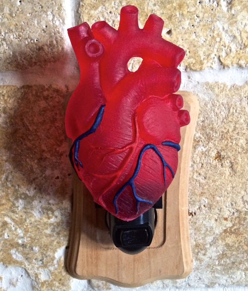 Anatomical Heart Nightlight, Hand Painted Resin Sculpture | Gothic Night Light |  Human HeartLighting for Gothic Fantasy Home Decor